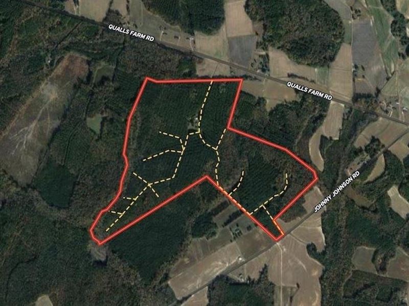 174 Acre Hunting : Enfield : Halifax County : North Carolina