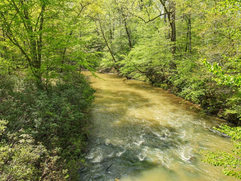 Halawakee Creek Tract, Lee Co : Opelika : Lee County : Alabama