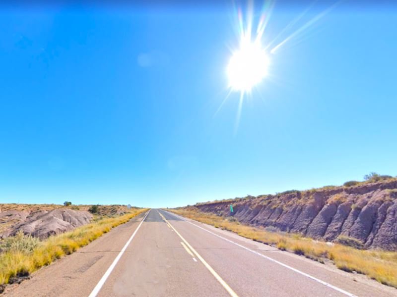 39.91 Acres Off-Grid Property : Concho : Apache County : Arizona