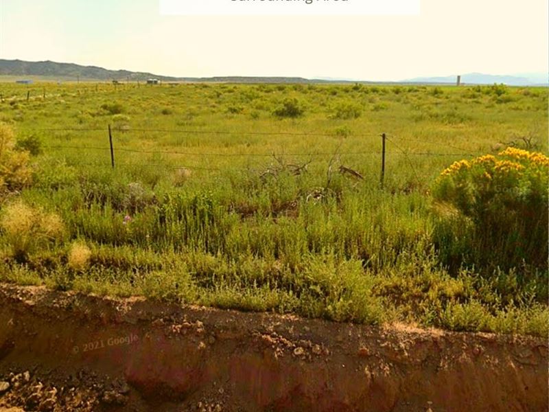 4.93 Acres Only $1 Down, $199/Mo : Blanca : Costilla County : Colorado