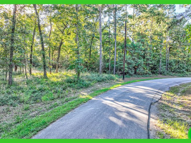 1.26 Acres in Trinity County, TX : Trinity : Trinity County : Texas