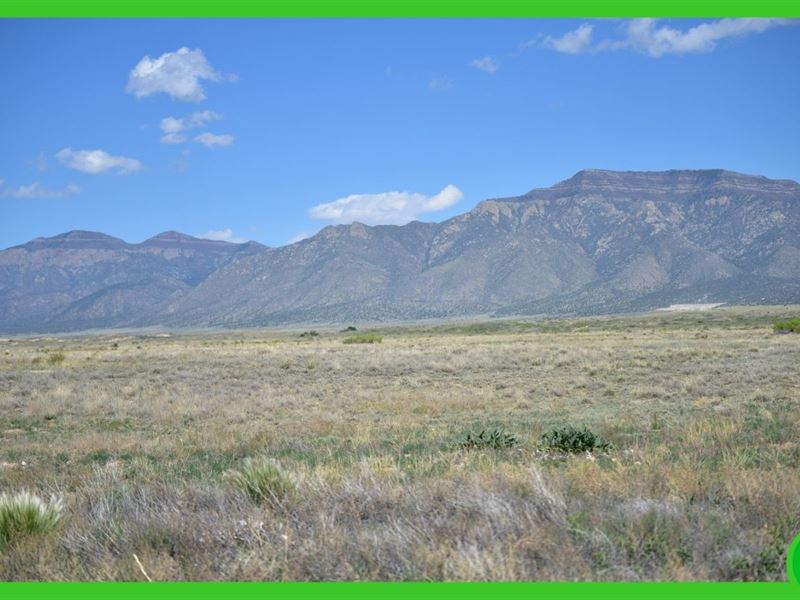 Two Adjacent Half Acre Lots : Belen : Valencia County : New Mexico