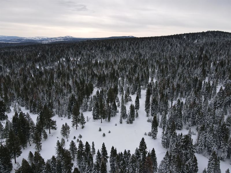 Put The Thrills in The Hills : Alturas : Modoc County : California