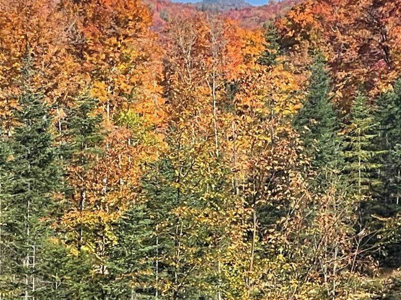 Adirondack Mountain Views : Indian Lake : Hamilton County : New York