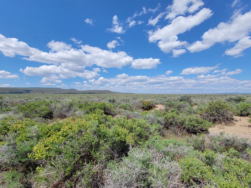 Large Estate, Modest Investment : Christmas Valley : Lake County : Oregon
