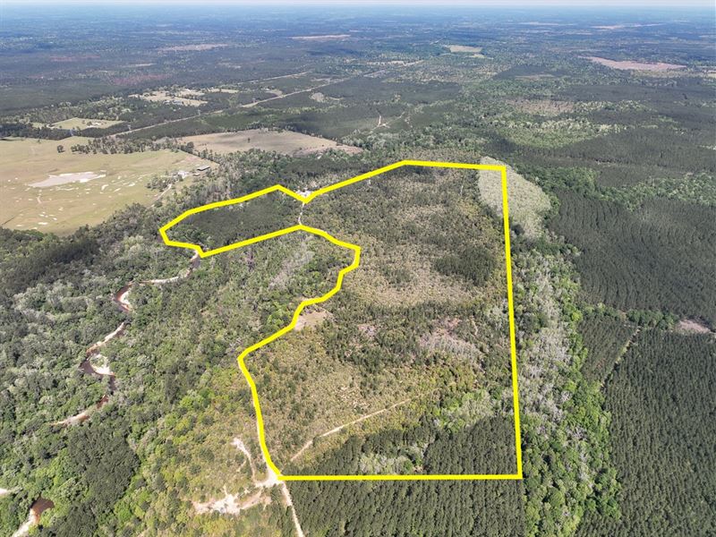 130 Acres, T-2 FM 1416 : Kirbyville : Newton County : Texas