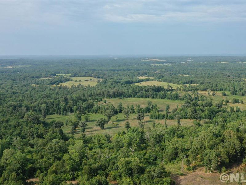 Final 3 Land Sale in East Texas : Winona : Smith County : Texas