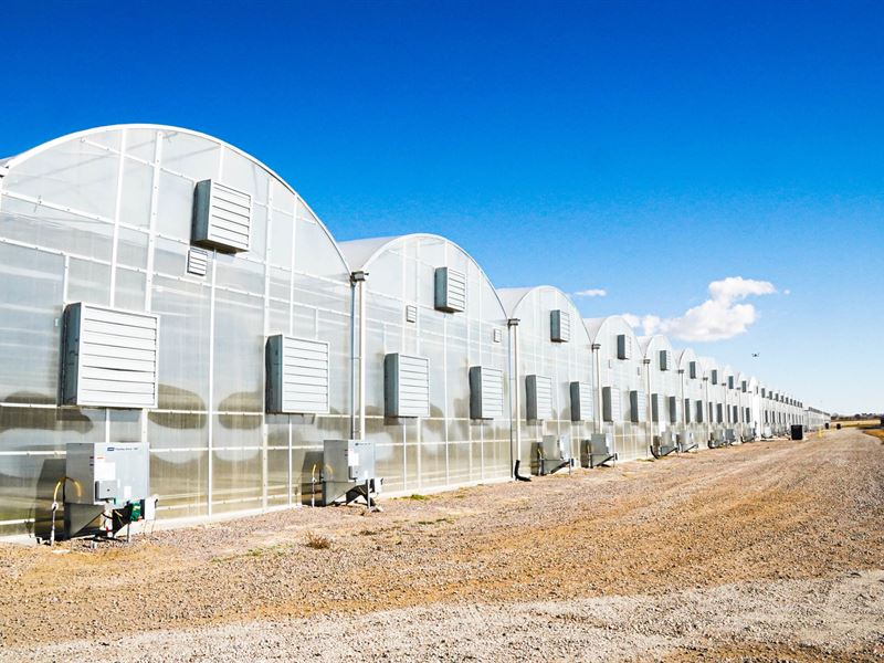 Brighton Organic Greenhouse : Brighton : Adams County : Colorado