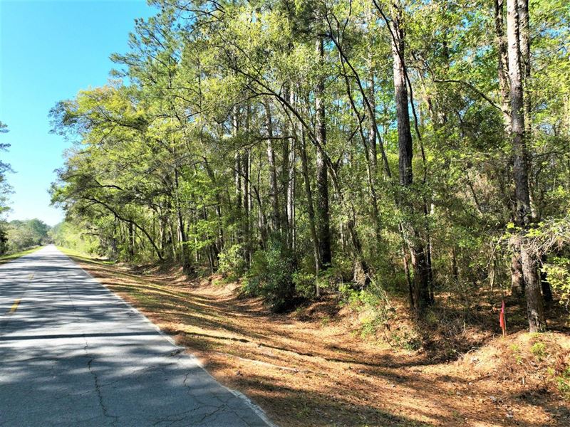 1+ Acre with Big Oaks in Land : Waverly : Camden County : Georgia