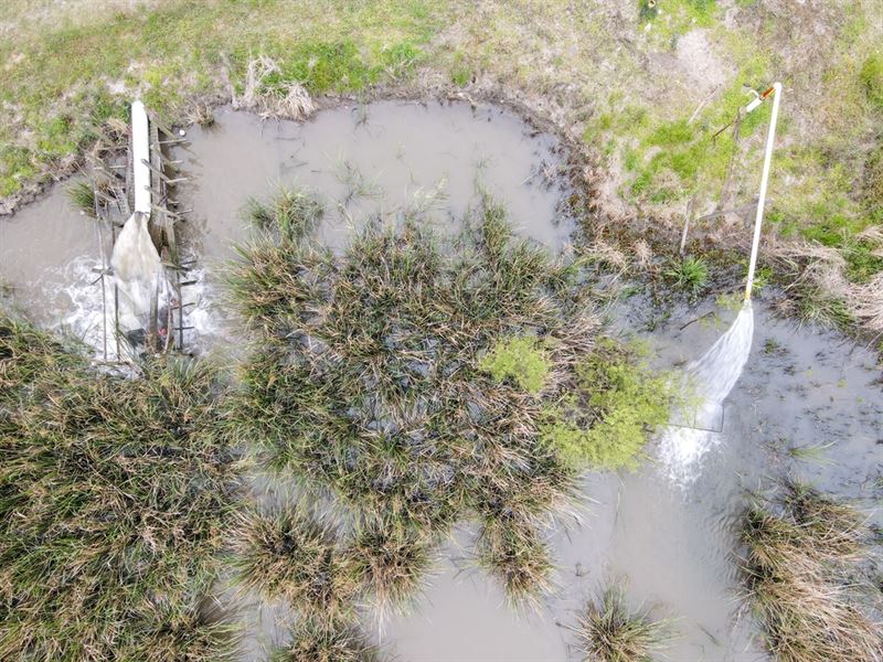 108 Acres Land for Sale Iberia Pari : Coteau : Iberia Parish : Louisiana