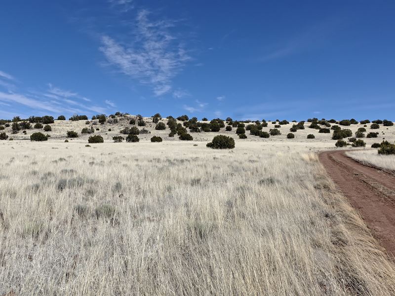 The Night Sky Awaits : Concho : Apache County : Arizona