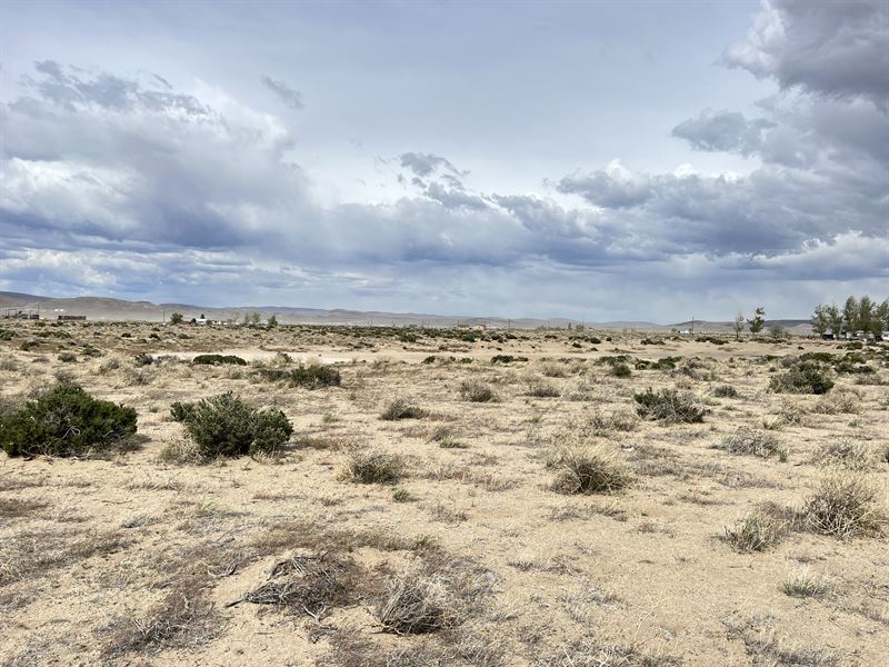Owner Financed Mobile Home Land : Silver Springs : Lyon County : Nevada
