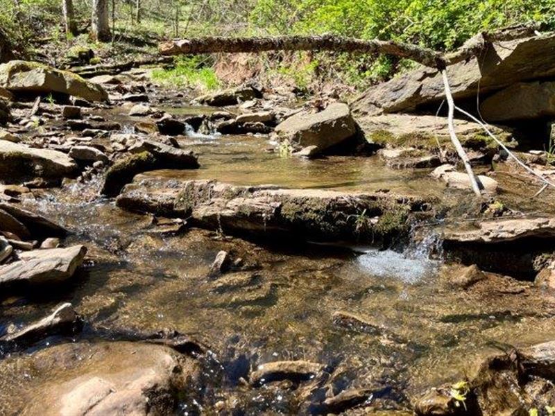 Ingram Rd Ohio Hunting Property : Newport : Washington County : Ohio