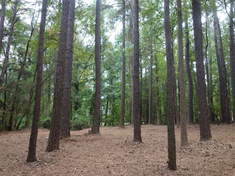 Wooded, Creeks : Rock Hill : York County : South Carolina