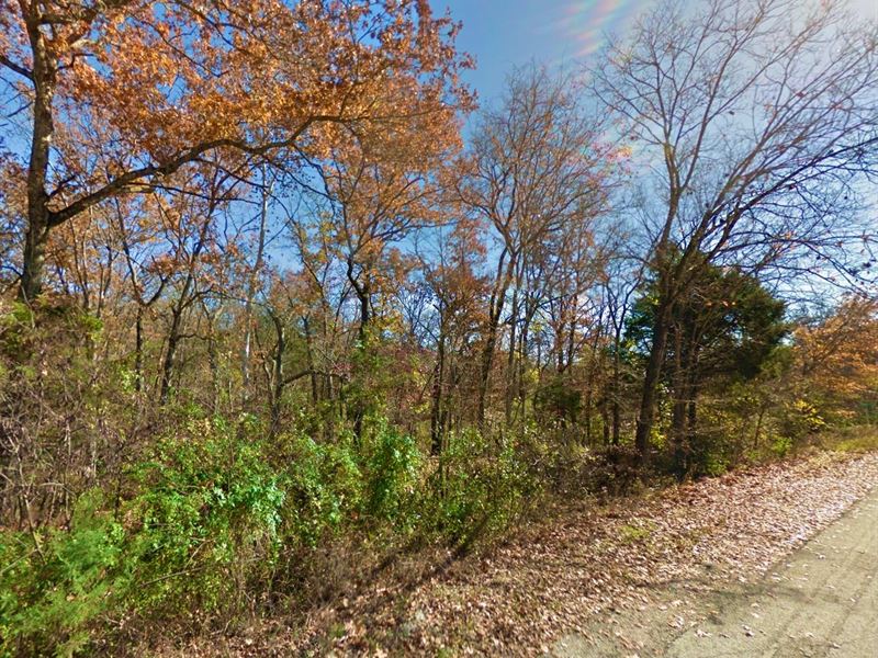 .29 Acre in Merriam Woods Village : Merriam Woods Village : Taney County : Missouri