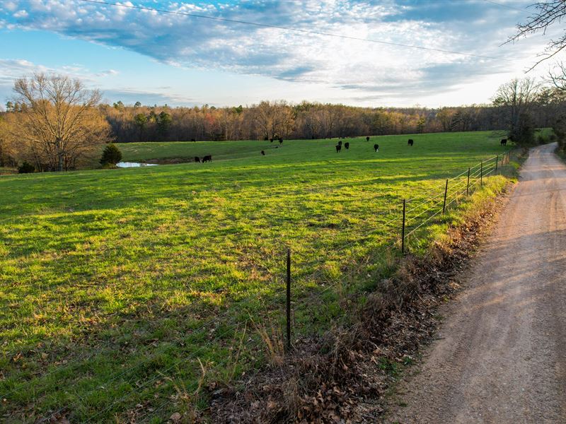 Freedom Road Farm : Willow Springs : Texas County : Missouri
