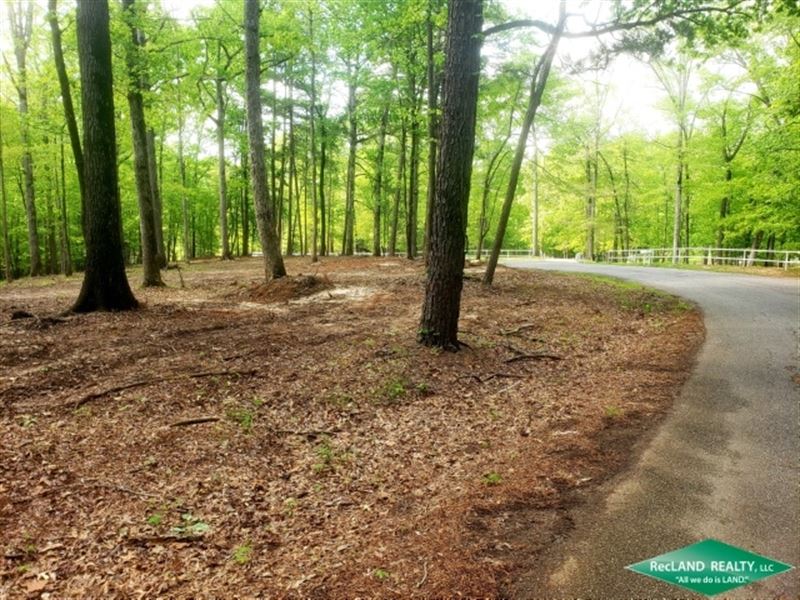 5 Ac, Wooded Tract for A Home : West Monroe : Ouachita Parish : Louisiana