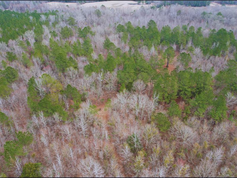 35 Acres in Attala County in Kosciu : Kosciusko : Attala County : Mississippi