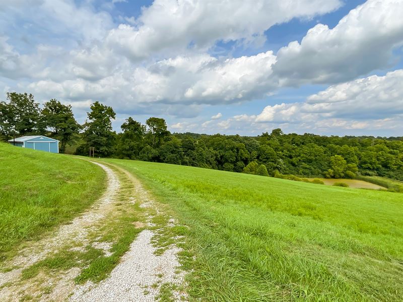 Ohio Hunting Land, Pond & Barn : Chesterhill : Morgan County : Ohio