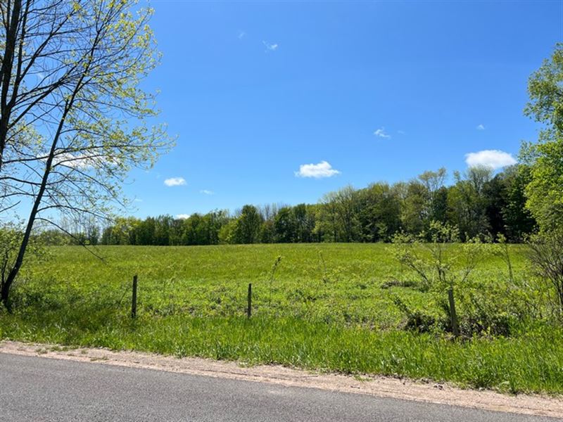 Near Mad River State Forest : Camden : Oneida County : New York