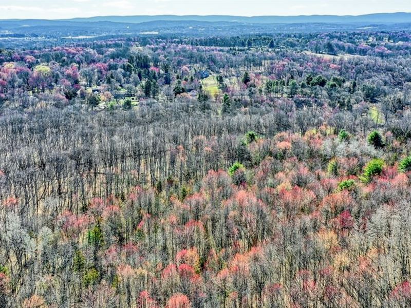 52K Sqft in LA Grange, NY : La Grange : Dutchess County : New York