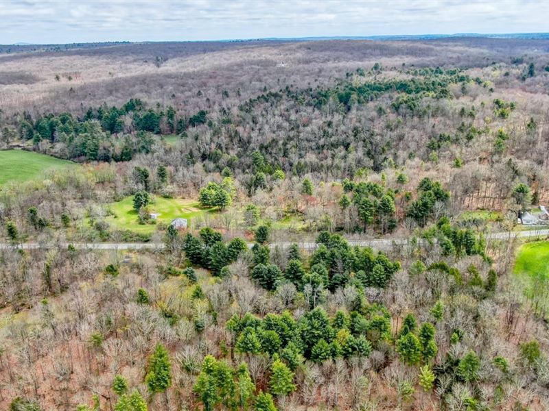 10K Sqft in Tusten, NY : Narrowsburg : Sullivan County : New York
