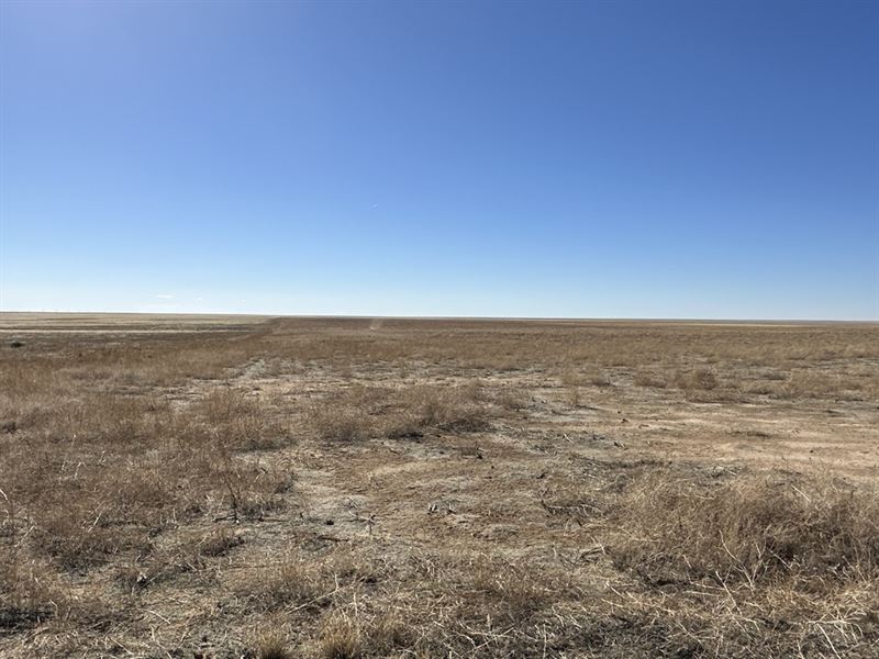 Kiowa County Dry Land Arlington, CO : Arlington : Kiowa County : Colorado