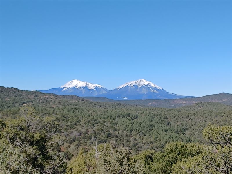 Spanish Oaks Ranch : Trinidad : Las Animas County : Colorado
