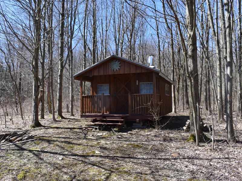 Mezzio Marvel : Forestville : Chautauqua County : New York