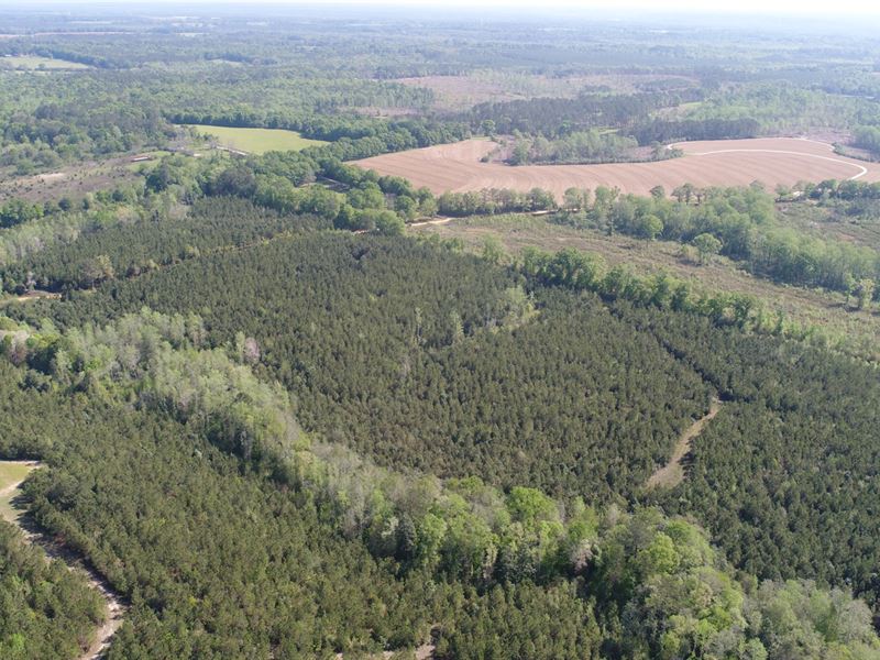 204 Acres Over Yonder Rd : Andalusia : Covington County : Alabama
