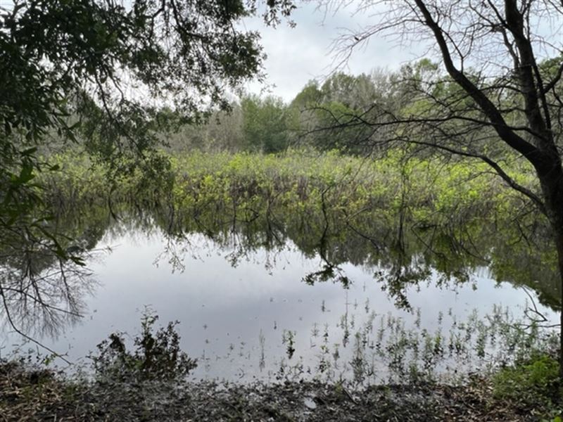 91 Acres Dream Recreation Land : Gordon : Houston County : Alabama