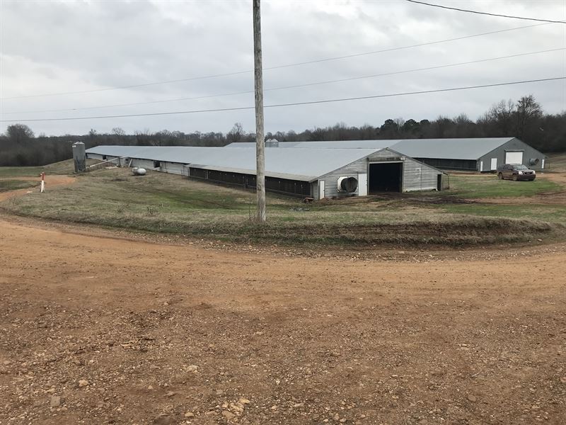 Oklahoma Broiler Chicken Farm : Haworth : McCurtain County : Oklahoma