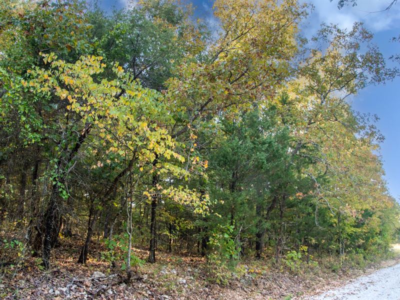 Vacant Lot, Mobile Homes Allowed : Horseshoe Bend : Izard County : Arkansas