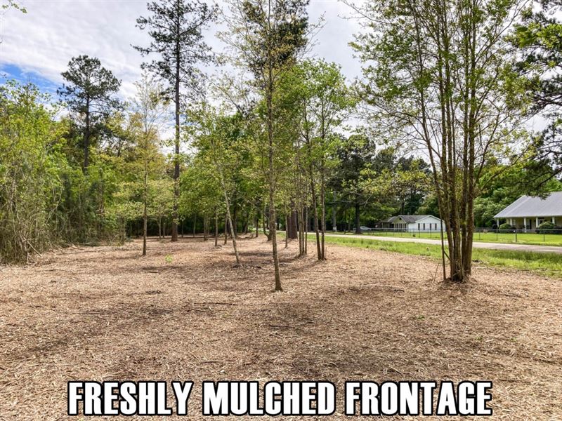 9 Acres Owner Finance, Great Area : Hammond : Tangipahoa Parish : Louisiana