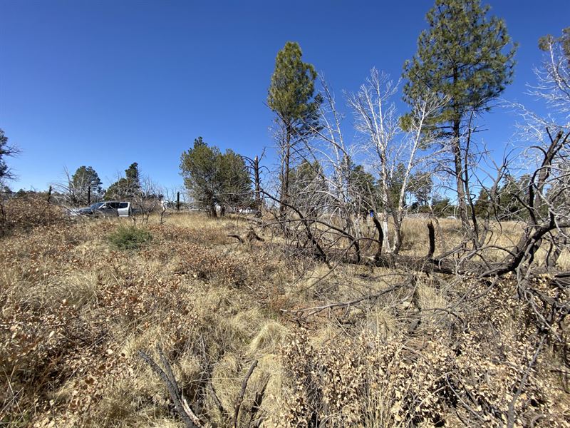 Bring Your RV or Build a Cabin : Timberon : Otero County : New Mexico