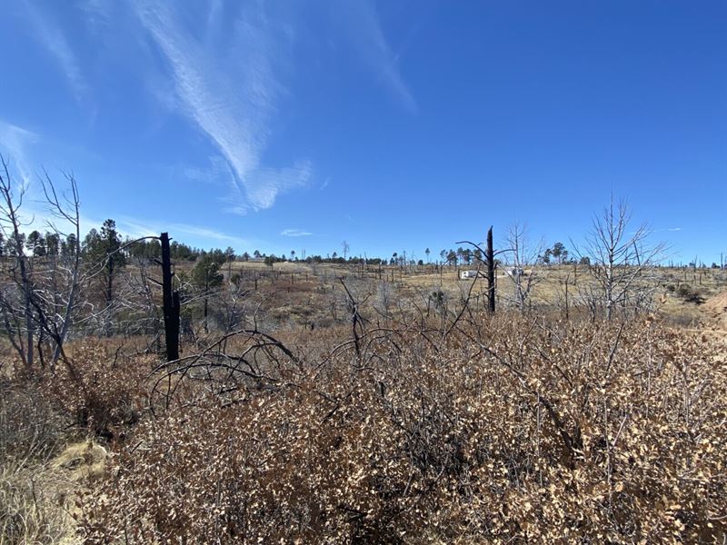 Enjoy Sunset & Mountain Views : Timberon : Otero County : New Mexico