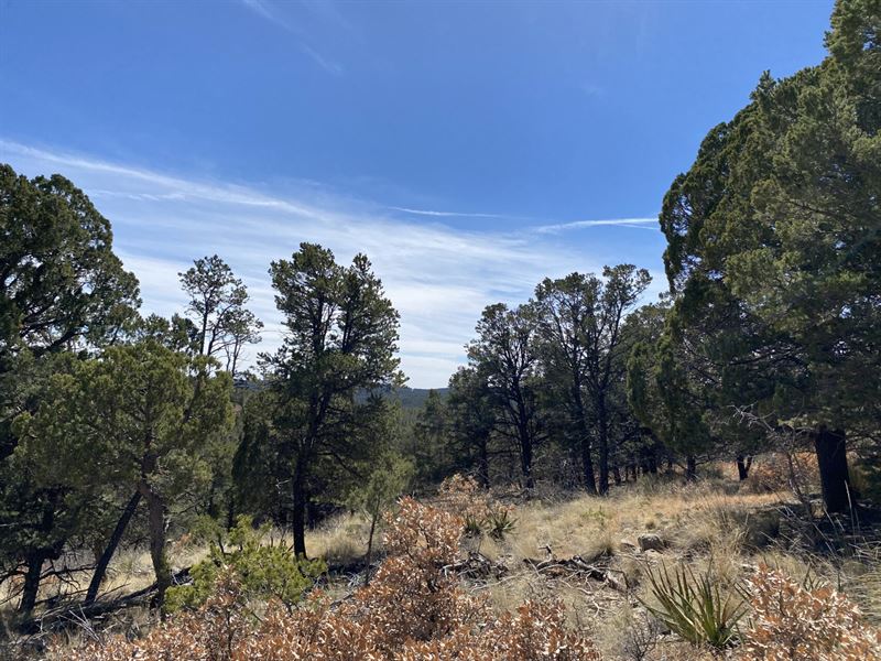 .67 Ac with Power & Water : Timberon : Otero County : New Mexico