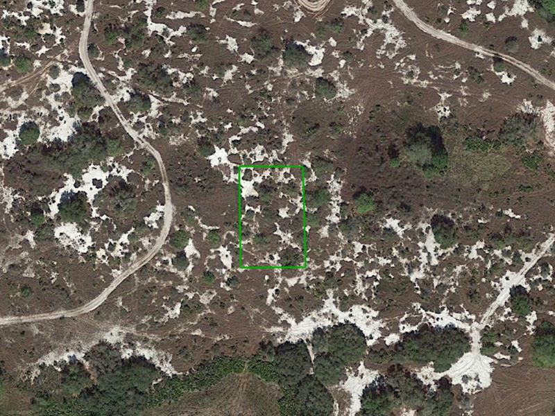 Buildable Lot Near Lake Placid : Lake Placid : Highlands County : Florida