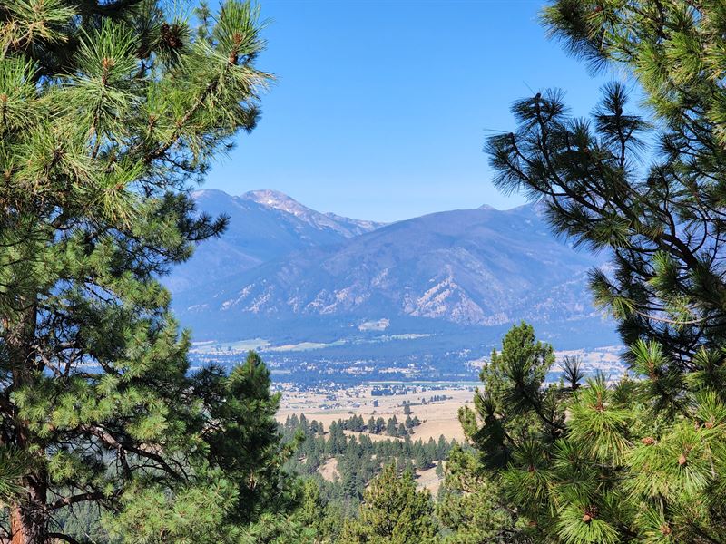 Sapphire Mountain Ranch : Florence : Ravalli County : Montana