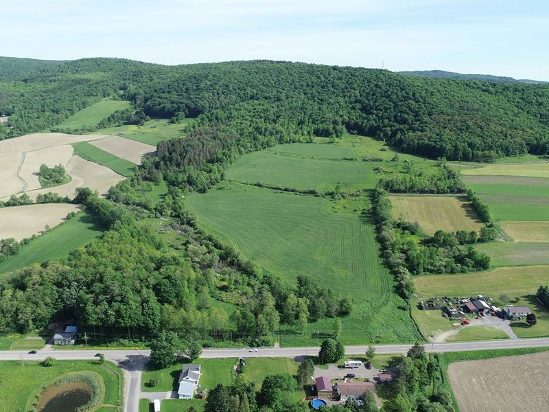 Mix of Land Backed by State Forest : Cuyler : Cortland County : New York