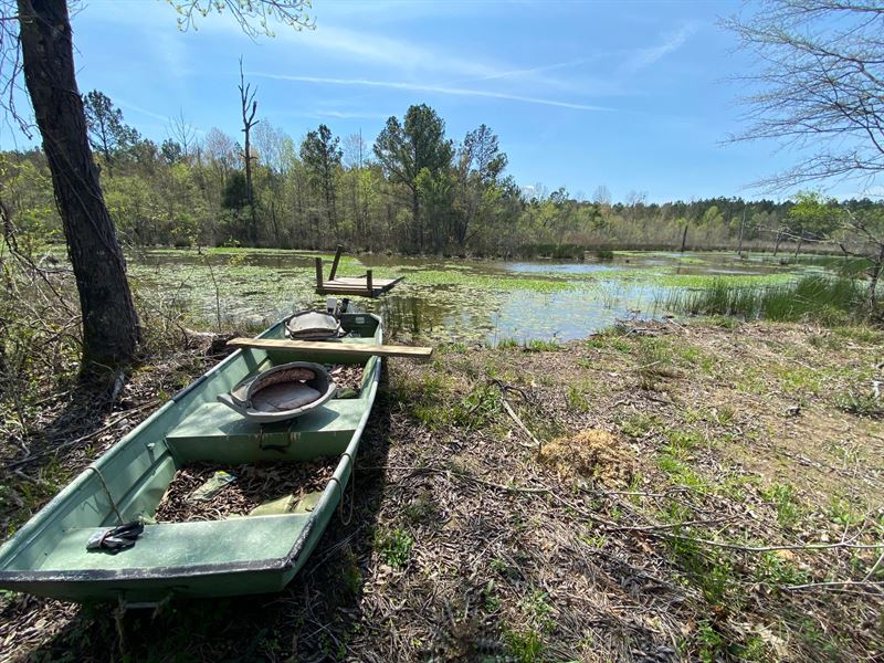 Retreat on 106 Acres, Creek : Ashville : Saint Clair County : Alabama
