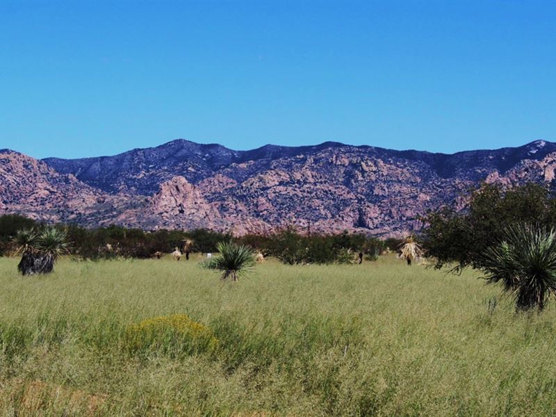 Enjoy Quality Family Time in AZ : Pearce : Cochise County : Arizona