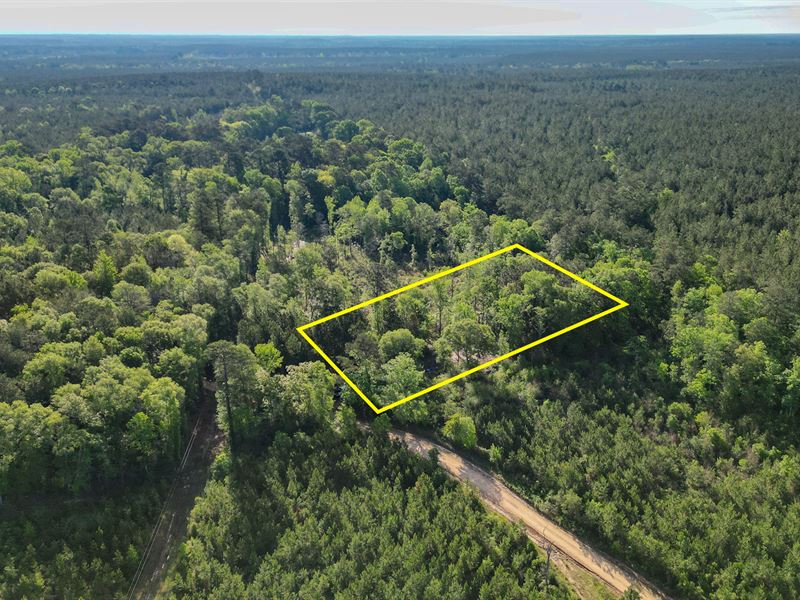 1.11 Ac Near Woodville, TX : Woodville : Tyler County : Texas