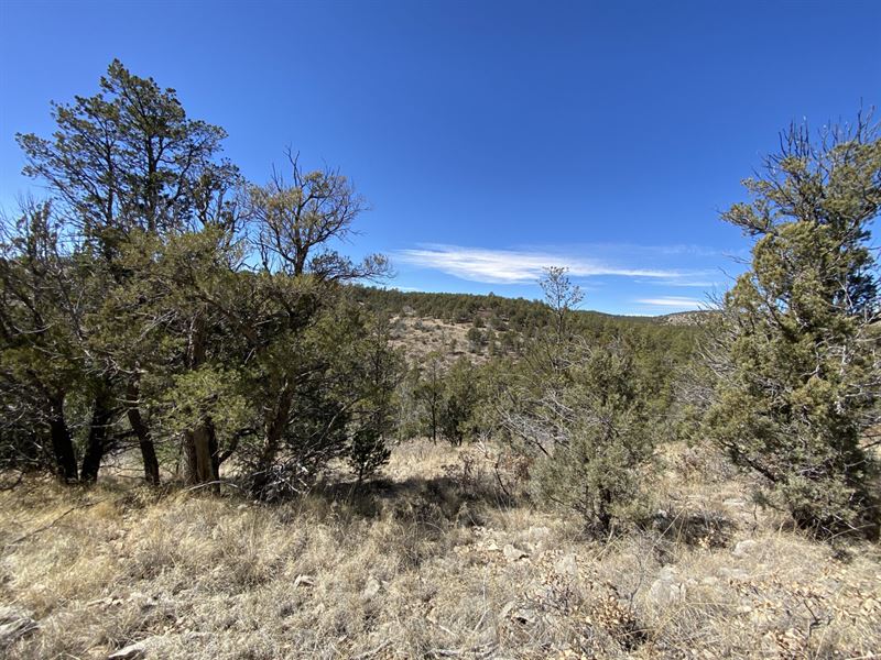 .51 Acre with Stunning Views : Timberon : Otero County : New Mexico