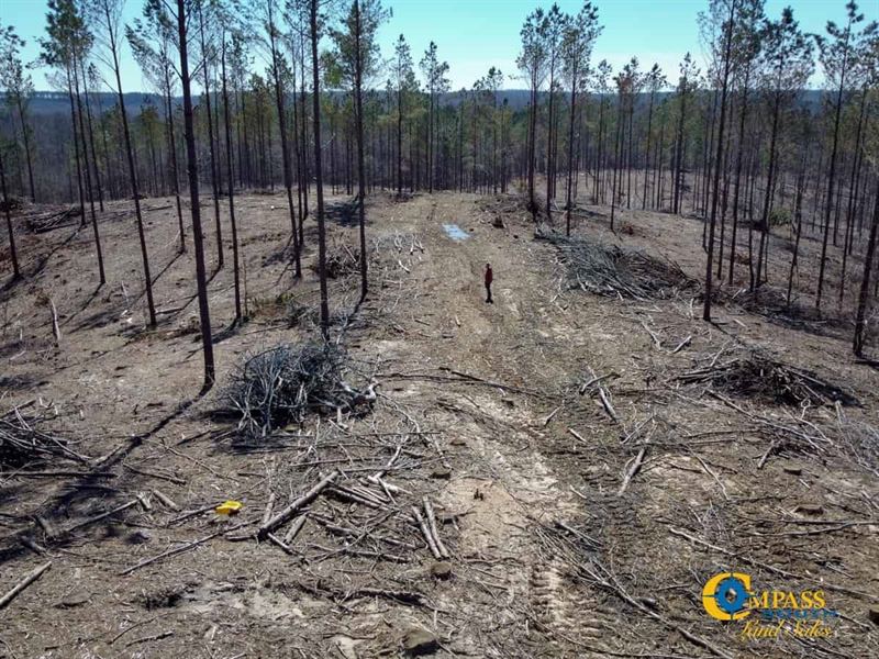 Harris Road South Tract : Henderson : Hardeman County : Tennessee