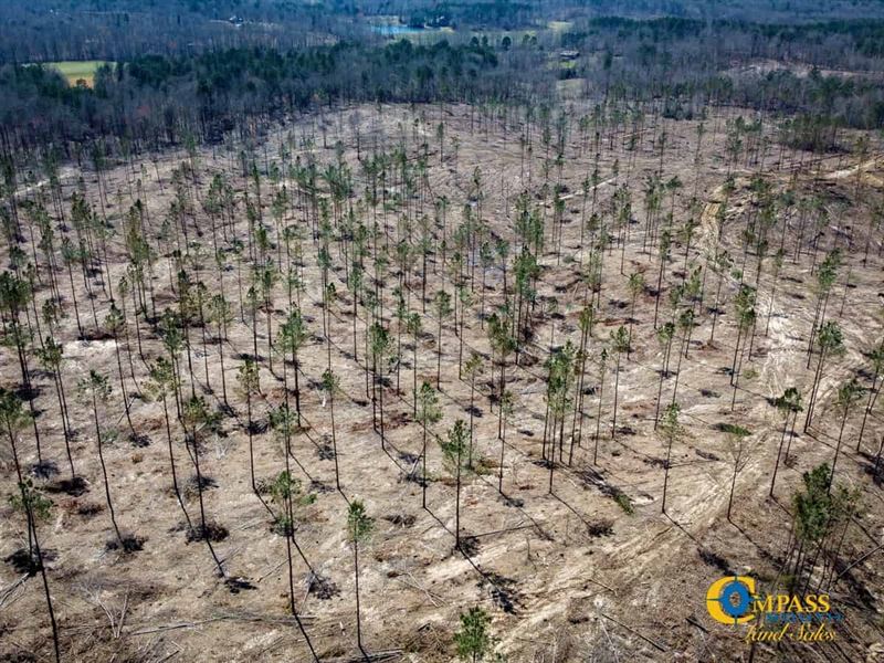 Harris Road North Tract : Henderson : Hardeman County : Tennessee