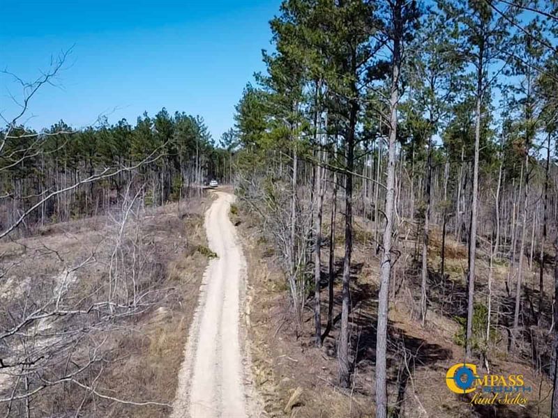 Tull Road Parcel 3 : Henderson : Hardeman County : Tennessee