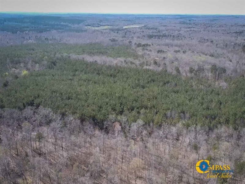 Tull Road Parcel 2 : Henderson : Hardeman County : Tennessee