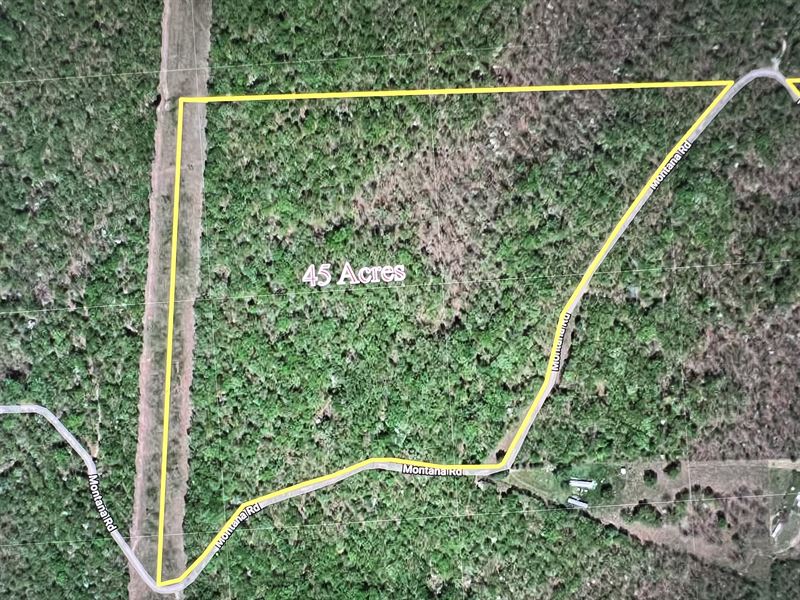 45 Acres Morgan County MO : Gravois Mills : Morgan County : Missouri