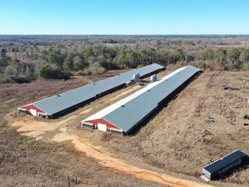 Clear View Farm : McKenzie : Butler County : Alabama